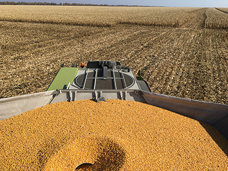 Демонстрация зерноуборочного комбайна CLAAS LEXION 7700