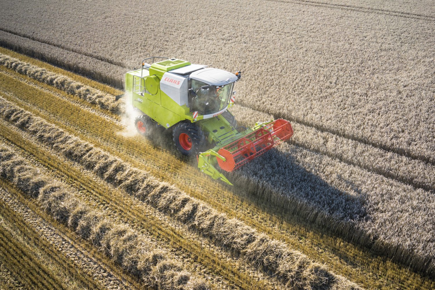 Технология уборки урожая